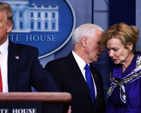 birx pence