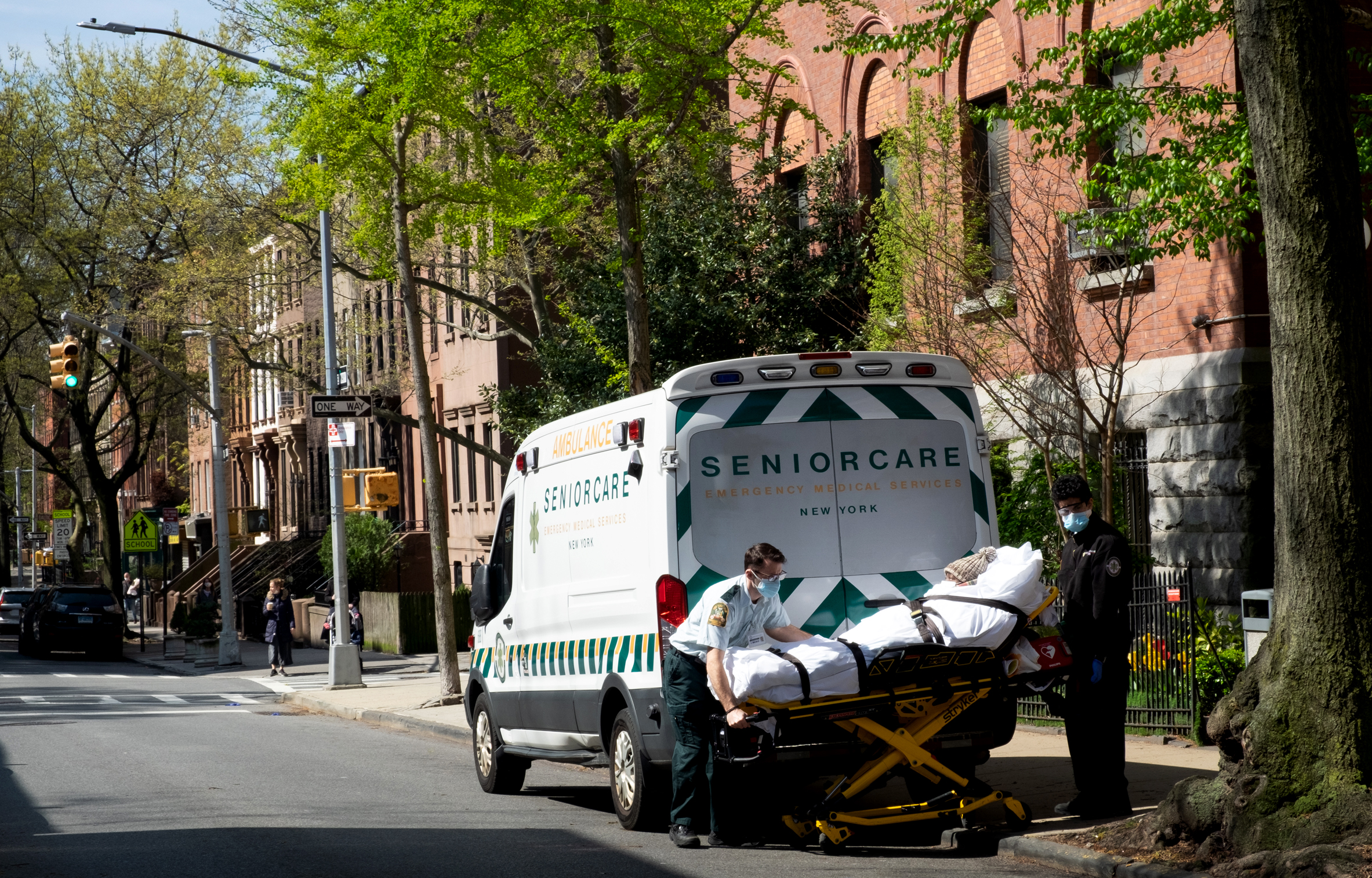 thenationalpulse.com