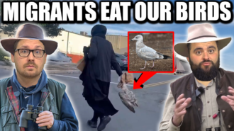 Fleccas Talks Podcast Ep 314: Massachusetts Migrant Caught Eating Our Sea Birds