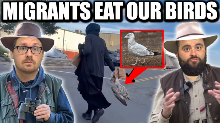 Fleccas Talks Podcast Ep 314: Massachusetts Migrant Caught Eating Our Sea Birds