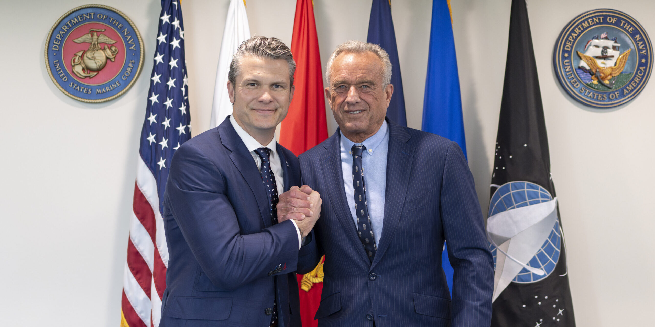 thenationalpulse.com