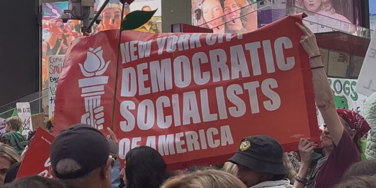 DATA: Who Is the Average DSA Member, and What Do They Believe?