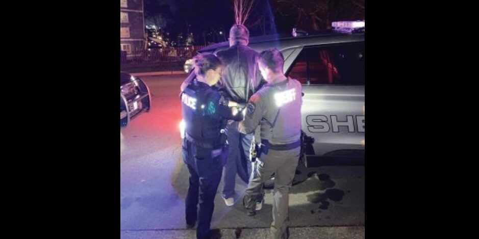 thenationalpulse.com