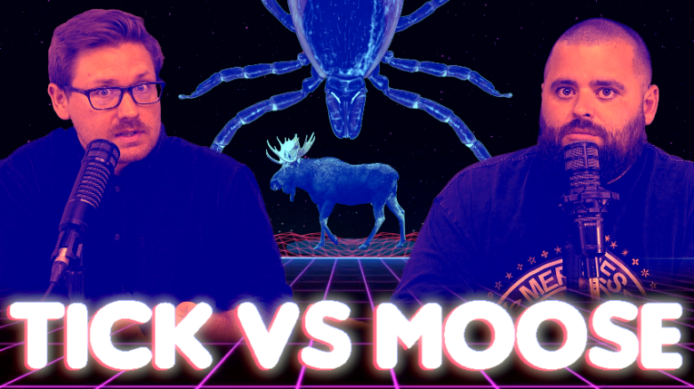 Fleccas Talks Bonusland: Tick vs Moose