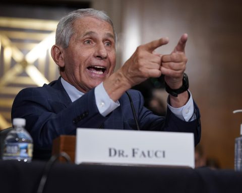 fauci financials