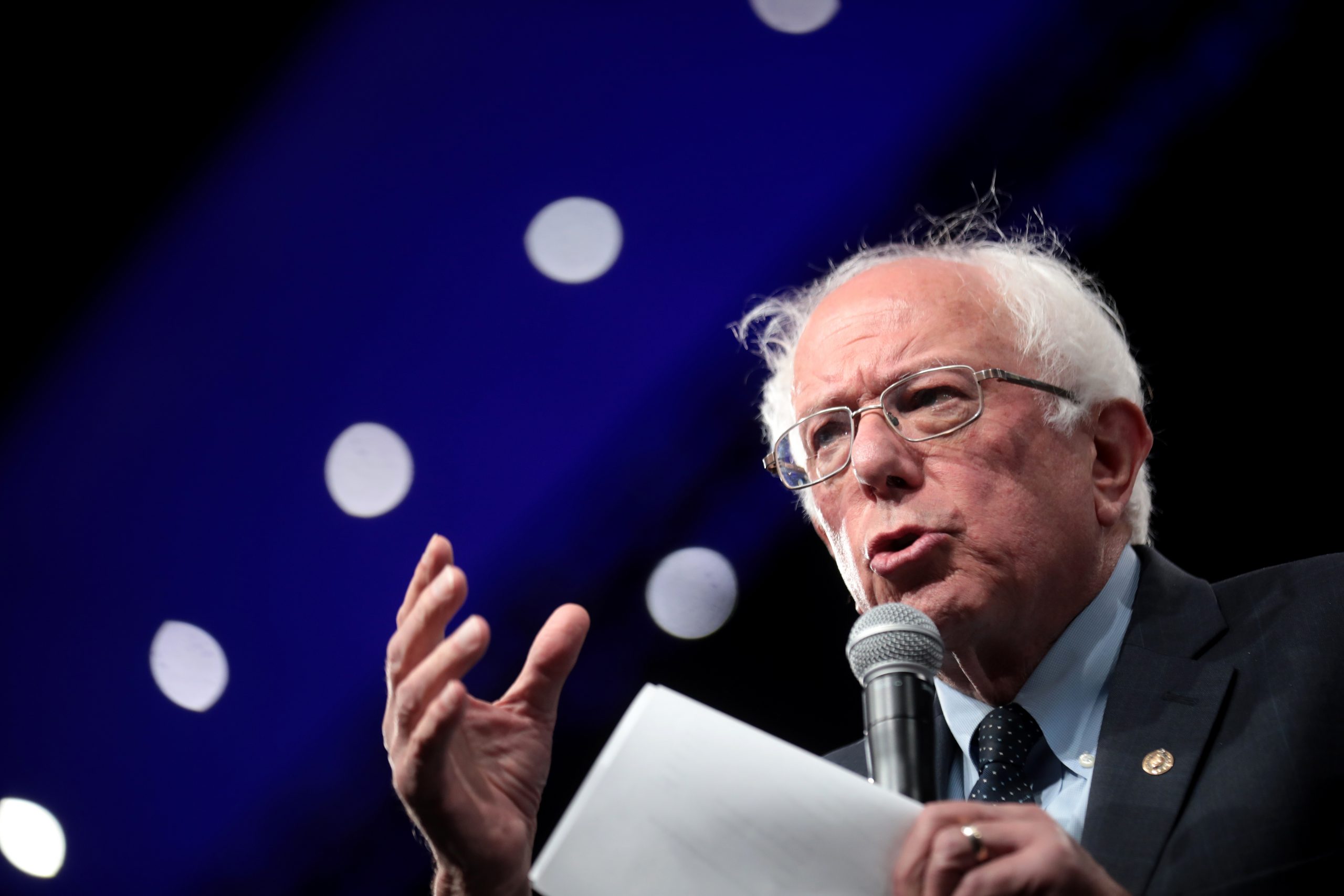 sanders