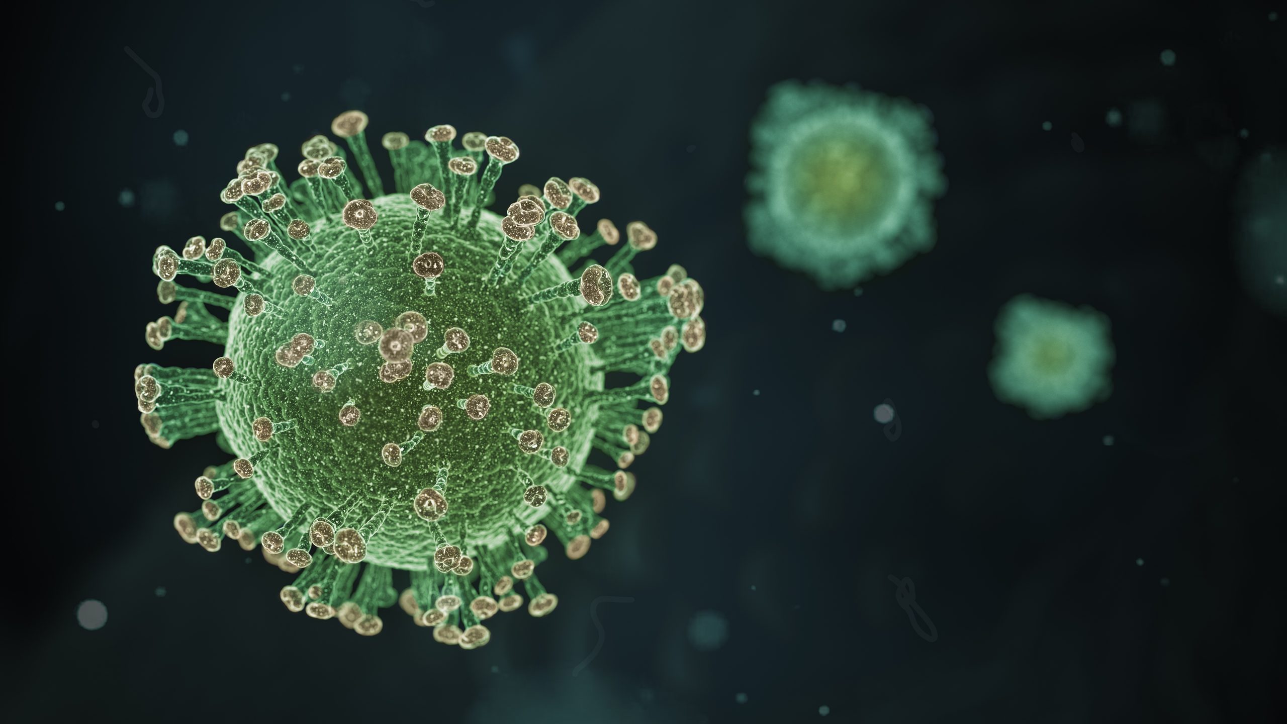 virus