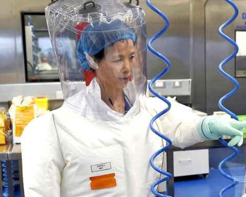 wuhan bat research