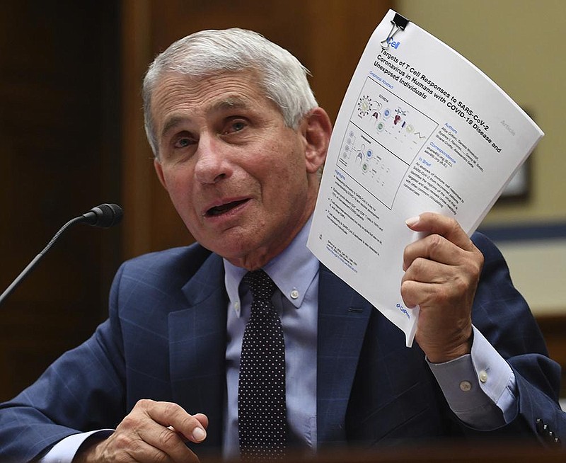 REVEALED: Fauci’s Recent, $10M Monkeypox Grant.