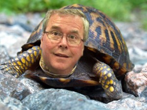 “I’m the tortoise in the race,” Bush told a Florida rally last July, “but I am a joyful tortoise.”