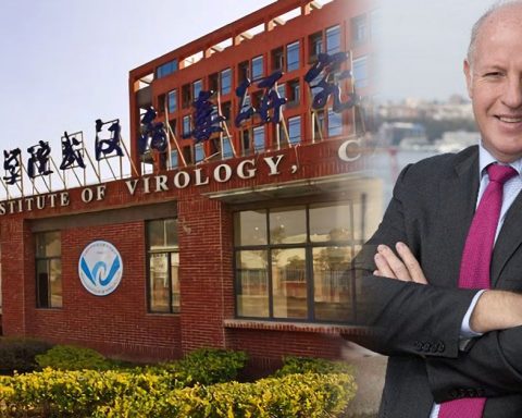 daszak wuhan