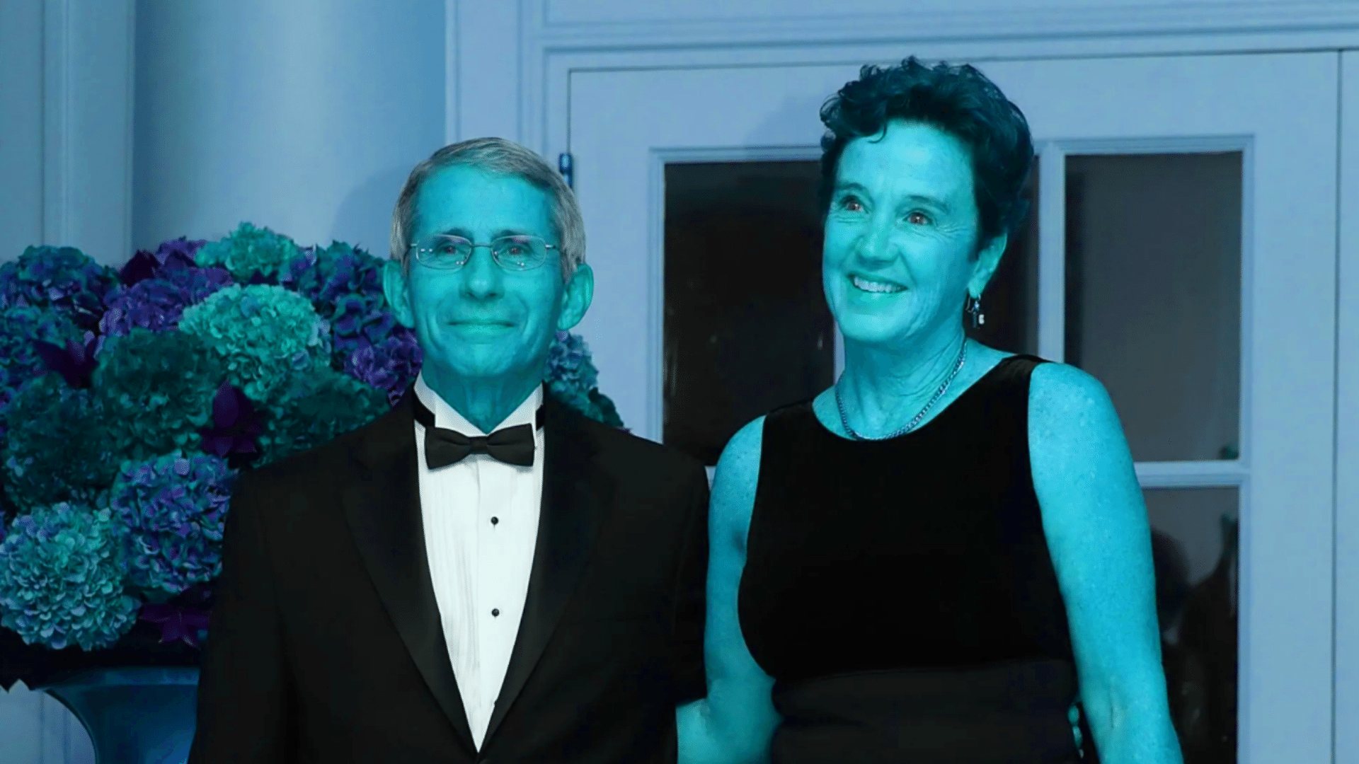 thenationalpulse.com